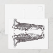 SURICATA LOVE. MEERKAT LOVE. BRIEFKAART (Voorkant / Achterkant)