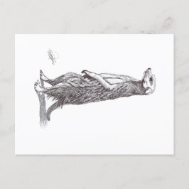 SURICATA. MEERKAT BRIEFKAART