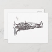 SURICATA. MEERKAT BRIEFKAART (Voorkant / Achterkant)