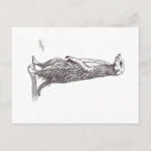 SURICATA. MEERKAT BRIEFKAART (Voorkant)