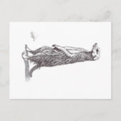 SURICATA. MEERKAT FEESTDAGENKAART (Voorkant)