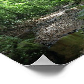 Surinaambos Poster (Hoek)