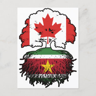 Surinaamse Surinaamse Canadese boomstammen Briefkaart