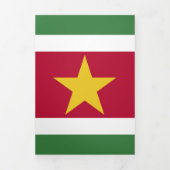 Surinaamse vlag drieluik kaart (Cover)