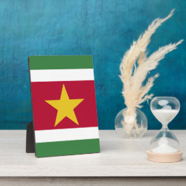 Surinaamse vlag fotoplaat