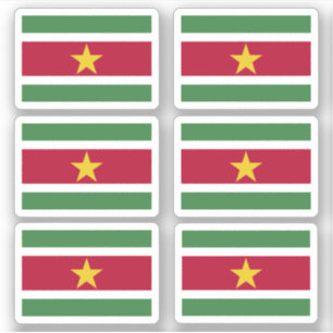 Surinaamse vlag sticker