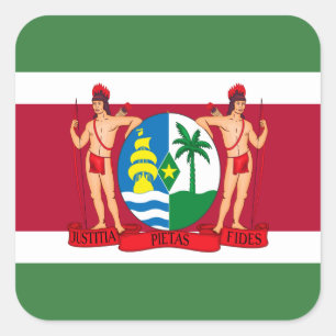 Surinaamse Vlag & Wapen, Vlag van Suriname Vierkante Sticker