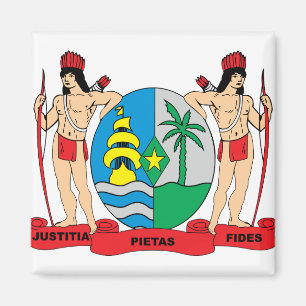 Surinaamse wapenlaag magneet