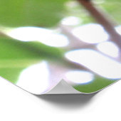 Surinam Cherries Poster (Hoek)