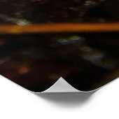 Surinam Horned Frog Ceratophrys Cornuta Poster (Hoek)