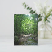 Suriname Forest Briefkaart (Staand voorkant)