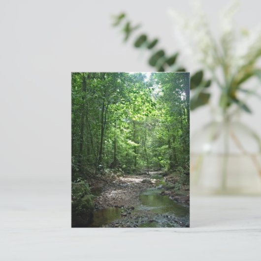 Suriname Forest Briefkaart (Staand voorkant)