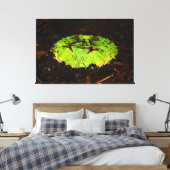 Suriname Horned Frog Ceratophrys Cornuta Canvas Afdruk (Insitu (Slaapkamer))