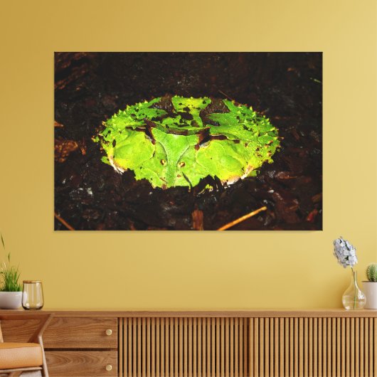 Suriname Horned Frog Ceratophrys Cornuta Canvas Afdruk (Insitu (Woonkamer))