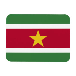 Suriname Vlag Magneet