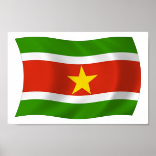 Suriname Vlag Poster Print
