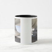 Surpluszee Phoenix-raketten Mok (Midden)