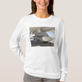 Surpluszee Phoenix-raketten T-shirt (Voorkant)