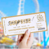 Surprise Amusement Park Theme Park Ticket Gift