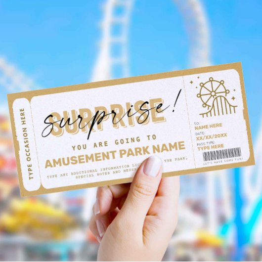 Surprise Amusement Park Theme Park Ticket Gift
