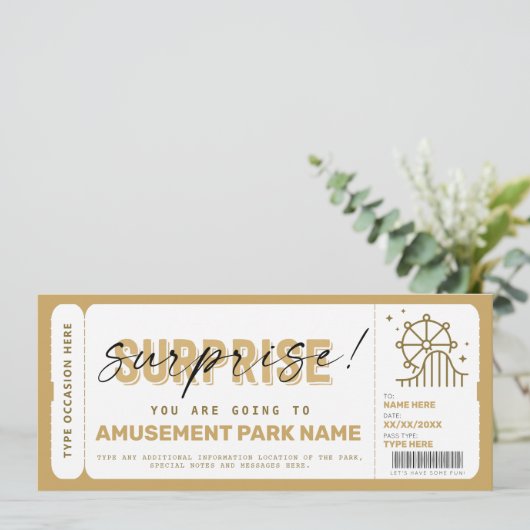 Surprise Amusement Park Theme Park Ticket Gift (Staand voorkant)