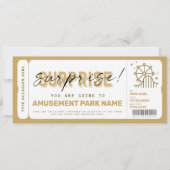 Surprise Amusement Park Theme Park Ticket Gift (Voorkant)