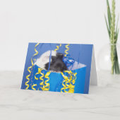 Surprise Guinee Pig Wenskaart Kaart (Voorkant)