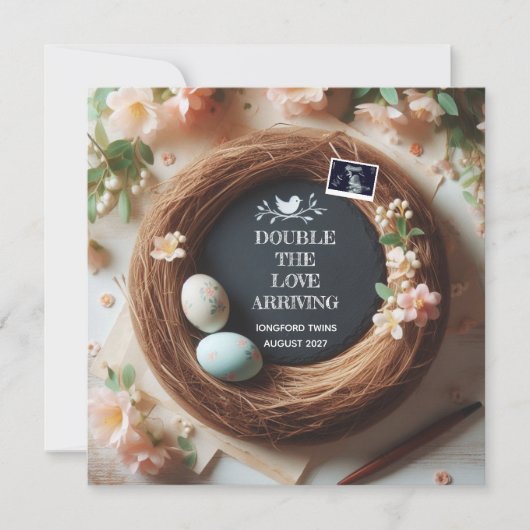  Surprise Twins Reveal, Twin Pregnancy  Aankondiging (Voorkant)