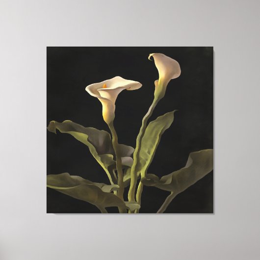 Surreal Easter Lilies op een zwarte achtergrond Canvas Afdruk (Voorkant)