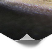 Surreal Eye watervalfantasie Poster (Hoek)