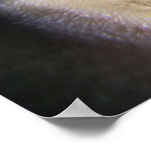 Surreal Eye watervalfantasie Poster (Hoek)