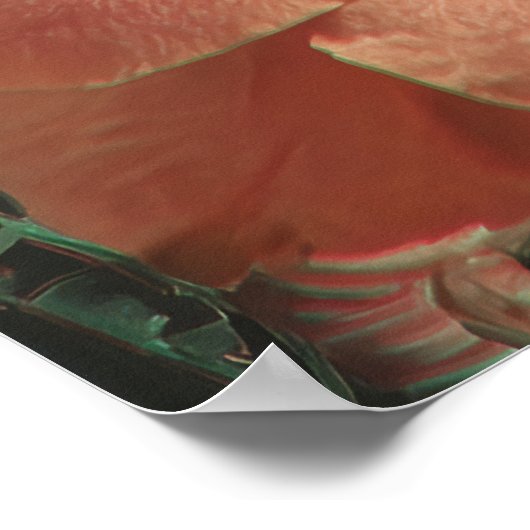 Surreal Eyes and Flowers with Butterflies Poster (Hoek)