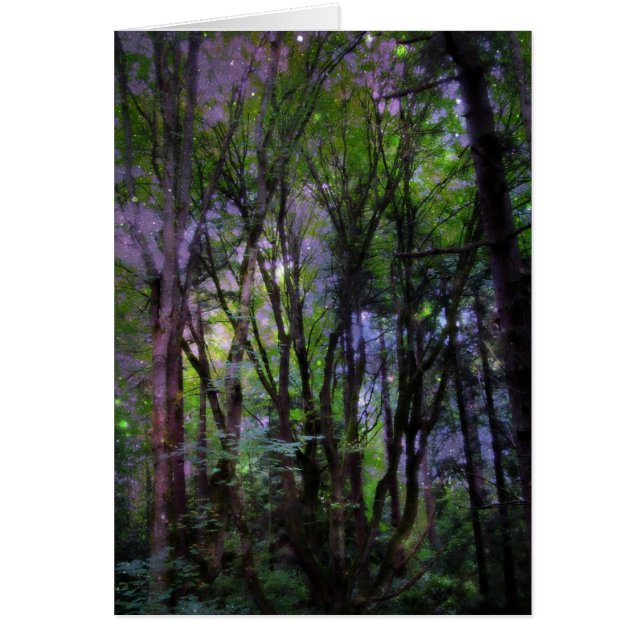 Surreal Forest met milde lampjes (Voorkant)