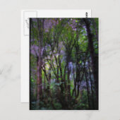 Surreal Forest met milde lampjes Briefkaart (Voorkant / Achterkant)