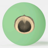 Surreal Peacock Eye Ping Ball (Voorkant)