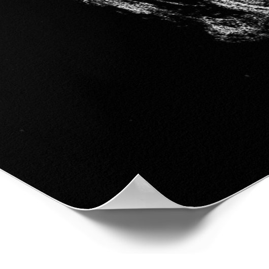 Surreal Poodle Poster (Hoek)