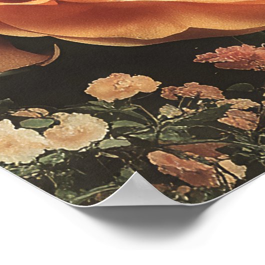 Surreal Safari Scene With Elephants Zebras Poster (Hoek)