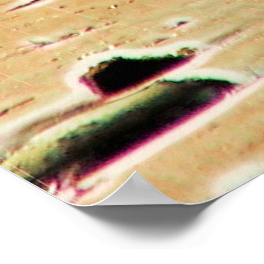 Surreal Surfing Safari Poster 1 (Hoek)