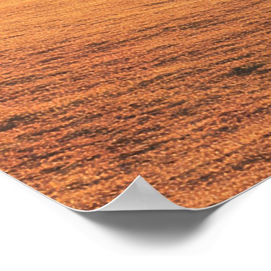 Surreal UFO Over Rustic House Poster (Hoek)