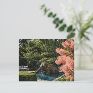 SURREALISCHE Prachtige Olifant in het zwembad Briefkaart