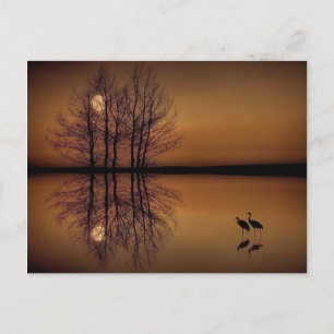 Surrealisme Post Card Briefkaart