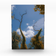 Surrealistische natuur