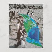 Surrealistische pinguïns wildcollage briefkaart (Voorkant)