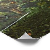 surrealistische poster van de grote kleurrijke pad (Hoek)