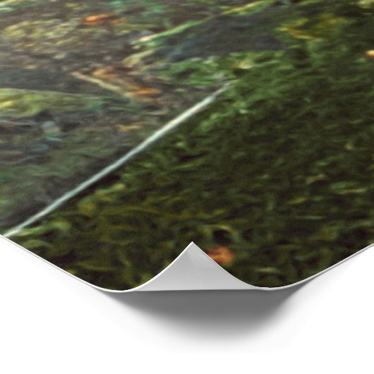 surrealistische poster van de grote kleurrijke pad (Hoek)