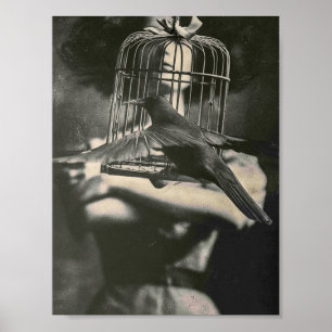 Surrealistische zwart-wit gekooide vogel en dame poster