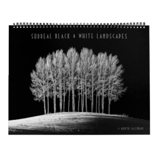 Surrealistische zwart-wit landschappen kalender