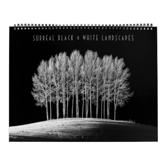 Surrealistische zwart-witlandschappen kalender (Hoes)