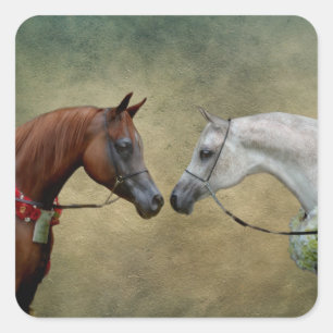 Surreus twee paarden schilderen. vierkante sticker