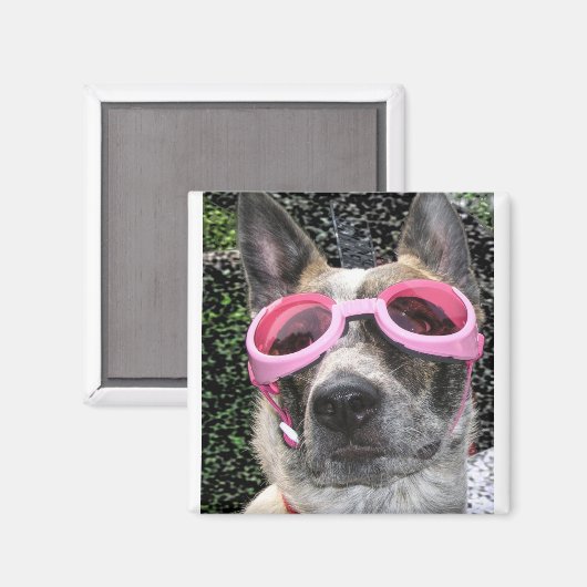 Surrey Magnet (Voorkant / Achterkant)